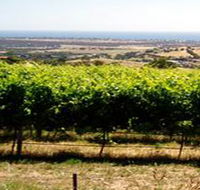 Braydun Hill Vineyard - Nambucca Heads Accommodation