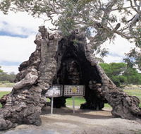 The Herbig Family Tree - Nambucca Heads Accommodation