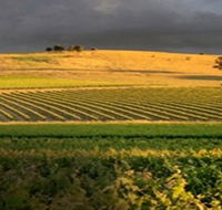 Kellermeister Wines - Nambucca Heads Accommodation
