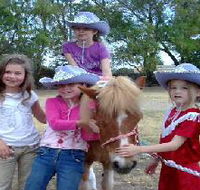 Amberainbow Pony Rides - Nambucca Heads Accommodation