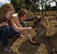 Kangaroo Island Wildlife Park - Nambucca Heads Accommodation