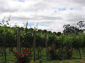  Nambucca Heads Accommodation