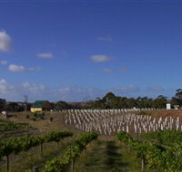 Deep Creek Wines and Alpacas - Nambucca Heads Accommodation