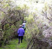 Jack And Hilda McArthur Walk - Nambucca Heads Accommodation