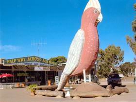 The Big Galah - Nambucca Heads Accommodation 0