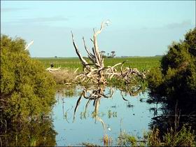  Nambucca Heads Accommodation
