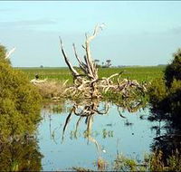 Bool Lagoon Game Reserve and Hacks Lagoon Conservation Park - Nambucca Heads Accommodation