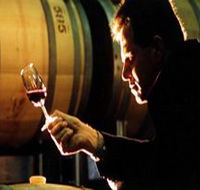 Salena Estate Wines - Nambucca Heads Accommodation