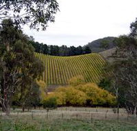 Mt Bera Vineyards - Nambucca Heads Accommodation
