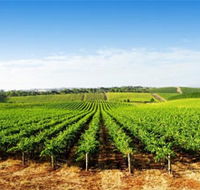 Aldinga Bay Winery - Nambucca Heads Accommodation