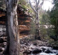 Mount Remarkable National Park - Nambucca Heads Accommodation
