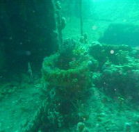 Wallaroo Scuba Club - Nambucca Heads Accommodation