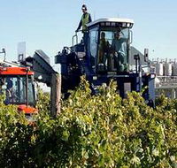 Ballast Stone Estate Wines Pty Ltd - Nambucca Heads Accommodation