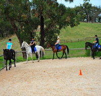 Megan Jones Riding School and Trail Rides - Nambucca Heads Accommodation