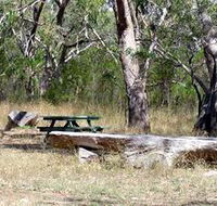 Penola Conservation Park - Nambucca Heads Accommodation