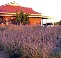 Bella Lavender Estate - Nambucca Heads Accommodation