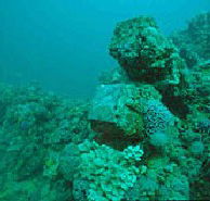 Adelaide's Underwater Heritage Trail - Nambucca Heads Accommodation