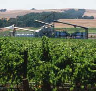 Kirrihill Wines - Nambucca Heads Accommodation