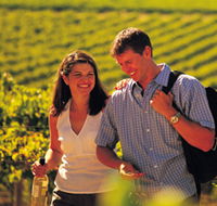 Lady Bay Vineyard - Nambucca Heads Accommodation