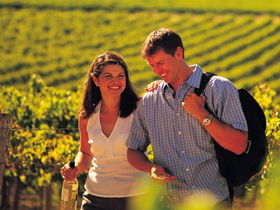 Lady Bay Vineyard - Nambucca Heads Accommodation 0