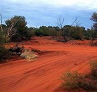 Tallaringa Conservation Park - Nambucca Heads Accommodation