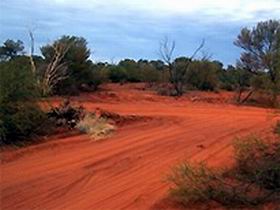 Tallaringa Conservation Park - Nambucca Heads Accommodation 0