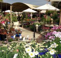 Serenity Nursery - Nambucca Heads Accommodation