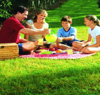Bruny Island Berry Farm - Nambucca Heads Accommodation