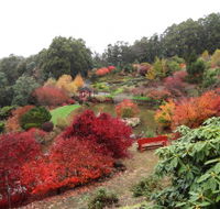Emu Valley Rhododendron Garden - Nambucca Heads Accommodation