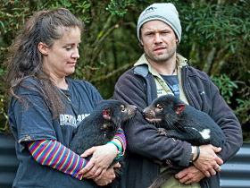 Cradle Mountain TAS Nambucca Heads Accommodation