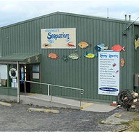 Stanley Seaquarium - Nambucca Heads Accommodation