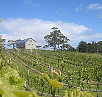 Bruny Island Premium Wines Bar and Grill - Nambucca Heads Accommodation