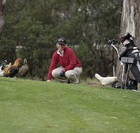 Tasmania Golf Club - The - Nambucca Heads Accommodation