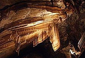 Gunns Plains Cave - Nambucca Heads Accommodation 0