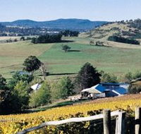 Freycinet Vineyards Pty Ltd - Nambucca Heads Accommodation