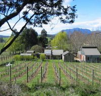 Wilmot Hills Vineyard - Nambucca Heads Accommodation