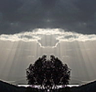 aart. Gallery of Fine Art - Nambucca Heads Accommodation