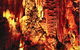 King Solomons Cave - thumb 0