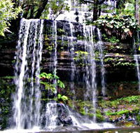Mt Field National Park - Nambucca Heads Accommodation