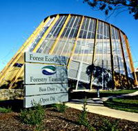 Forest EcoCentre - Nambucca Heads Accommodation