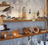 Touchwood Craft Gallery Gifts and Cafe - Nambucca Heads Accommodation