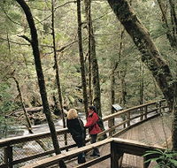 Franklin River Nature Trail - Nambucca Heads Accommodation