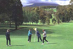 Deloraine Golf Course - Nambucca Heads Accommodation 0