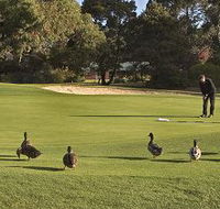 Royal Hobart Golf Club - Nambucca Heads Accommodation
