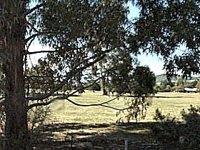 Cygnet Public Golf Course - Nambucca Heads Accommodation 0