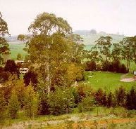 The Tasmanian Arboretum - Nambucca Heads Accommodation