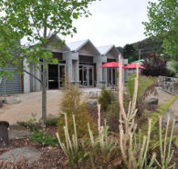 Tin Dragon Interpretation Centre and Cafe - Nambucca Heads Accommodation