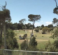 Greens Beach Golf Course - Nambucca Heads Accommodation