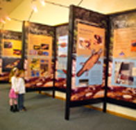 Platypus Experience - Nambucca Heads Accommodation