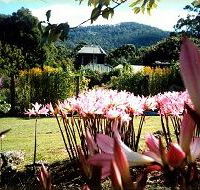 Blueberry Cottage Open Gardens - Nambucca Heads Accommodation